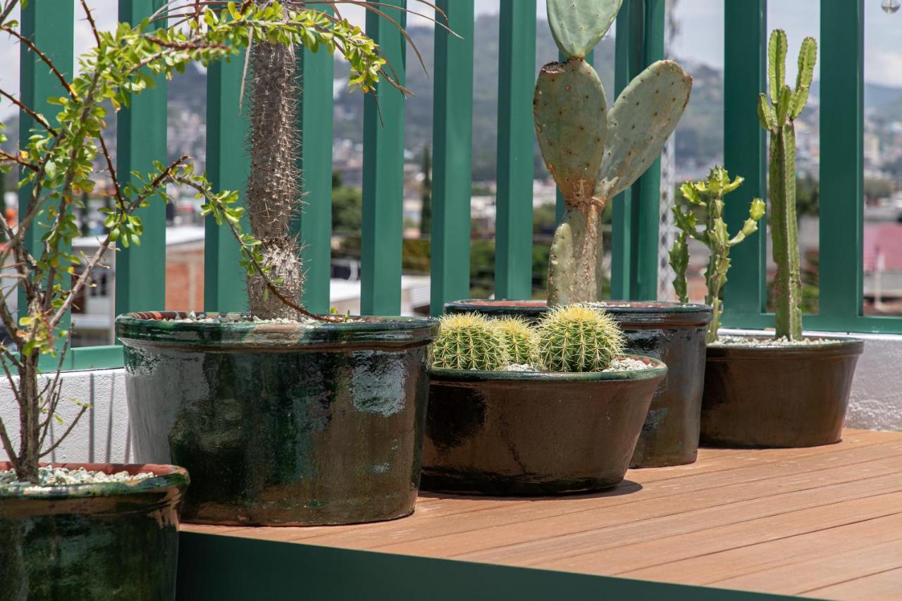 Holt - Villa Noria - La Casa Del Barro Verde Oaxaca 外观 照片